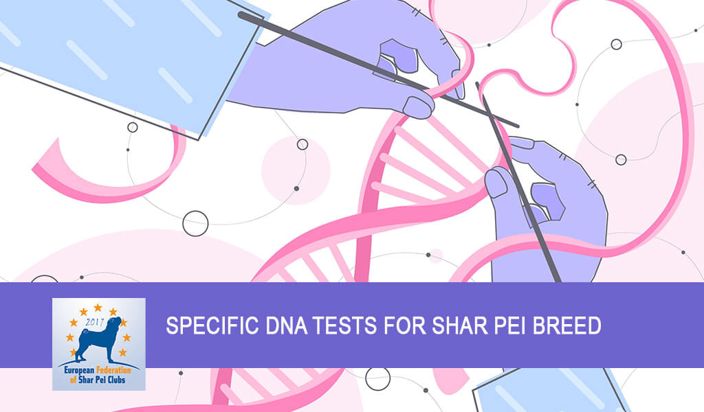 DNA testy u plemena Shar-pei